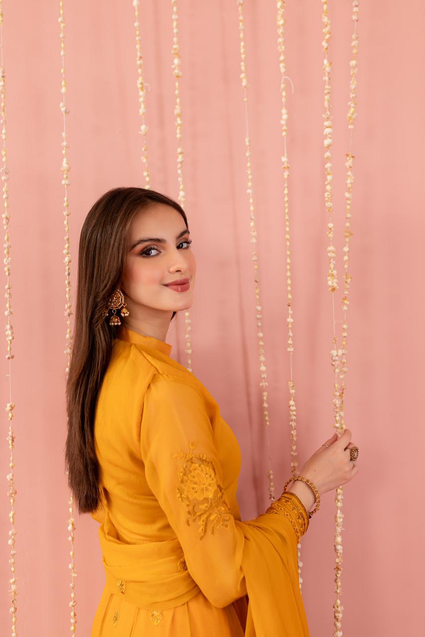 Chiffon Embroidered Dress - Y4
