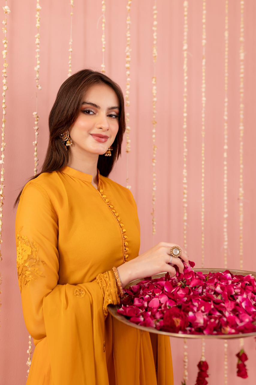 Chiffon Embroidered Dress - Y4