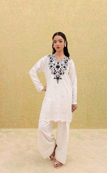 Winter 2PC Embroidered Dress-1068