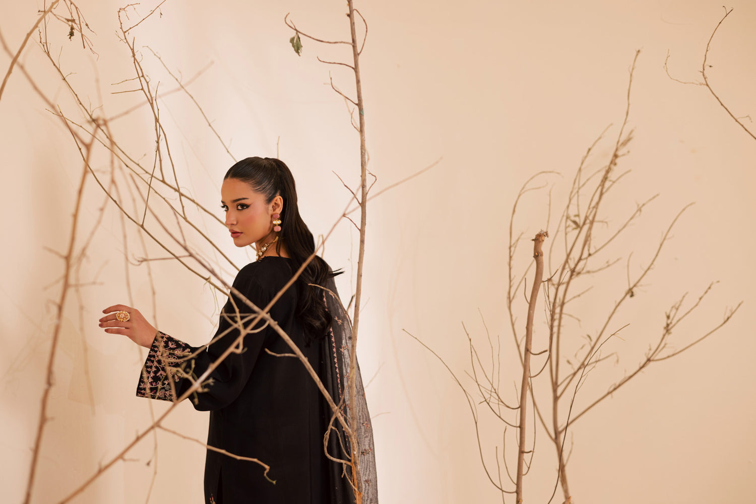 3PC Luxury Embroidered Dress- RSB10