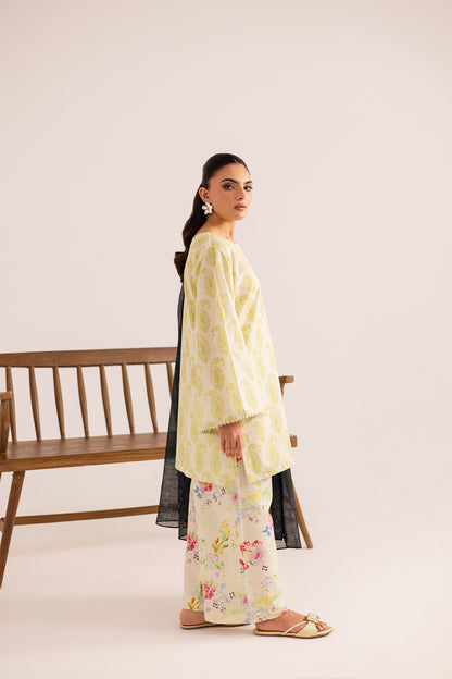 3PC Printed Basic - PRT3047