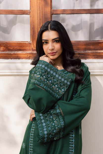 2PC Winter Embroidered Dress - 1203