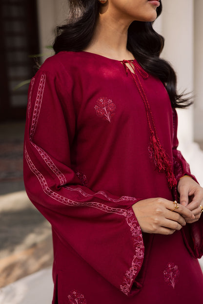 2PC Winter Embroidered Dress - 1194