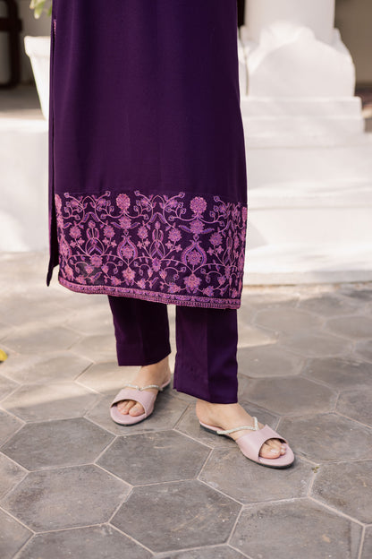 2PC Winter Embroidered Dress-1178