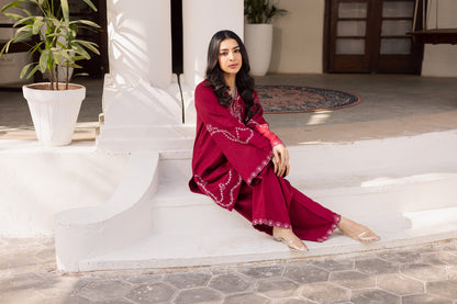 2PC Winter Embroidered Dress- 1175