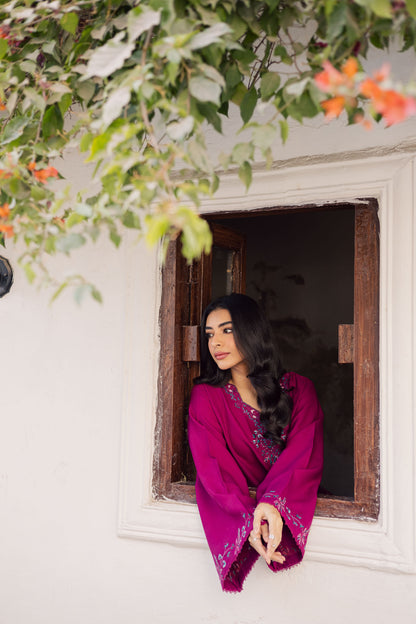 2PC Winter Embroidered Dress-1177