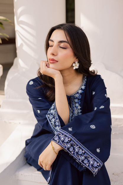 2PC Winter Embroidered Dress - 1192