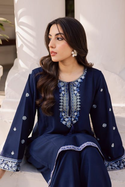 2PC Winter Embroidered Dress - 1192