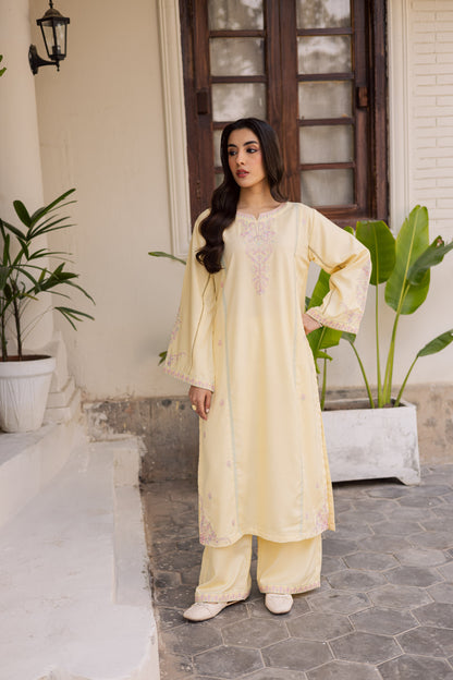 2PC Winter Embroidered Dress - 1185