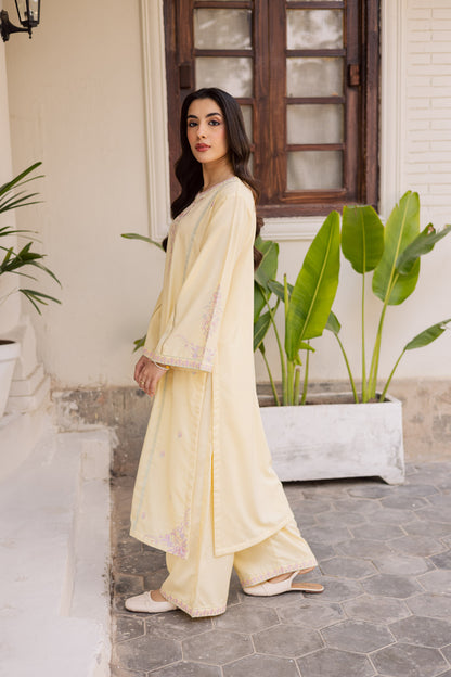 2PC Winter Embroidered Dress - 1185