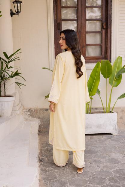 2PC Winter Embroidered Dress - 1185