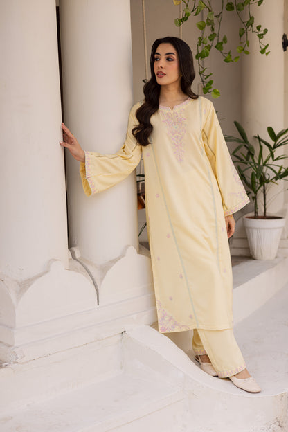 2PC Winter Embroidered Dress - 1185