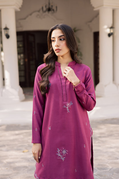 2PC Winter Embroidered Dress - 1212