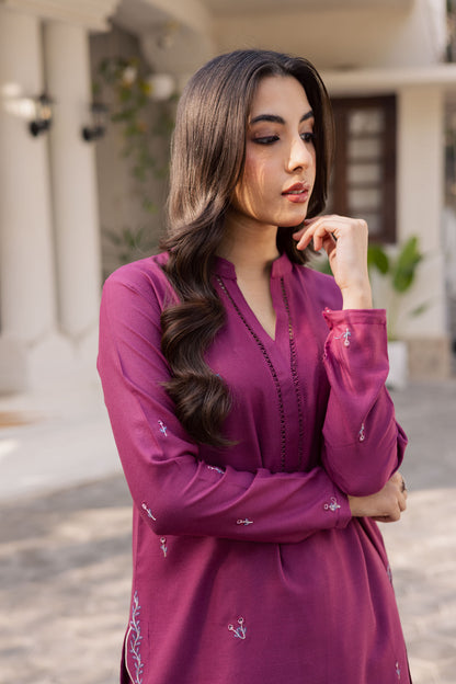 2PC Winter Embroidered Dress - 1212