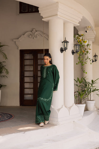 2PC Winter Embroidered Dress - 1183