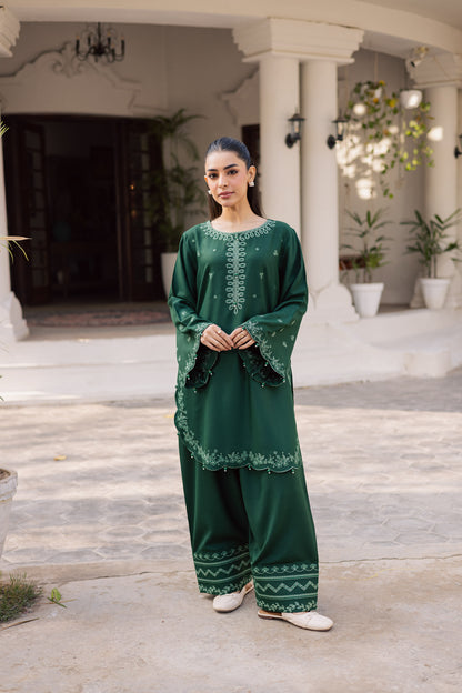 2PC Winter Embroidered Dress - 1183