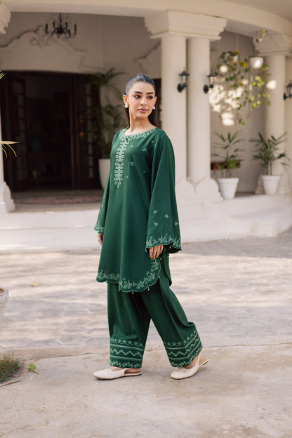 2PC Winter Embroidered Dress - 1183