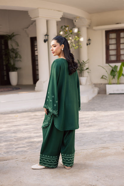 2PC Winter Embroidered Dress - 1183