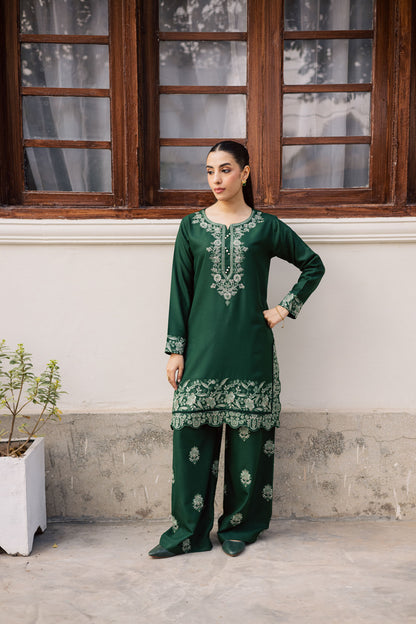 2PC Winter Embroidered Dress - 1187