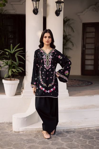 2PC Winter Embroidered Dress - 1207