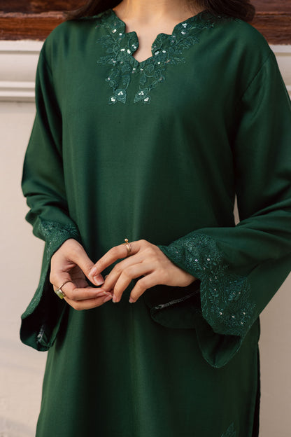 2PC Winter Embroidered Dress - 1211