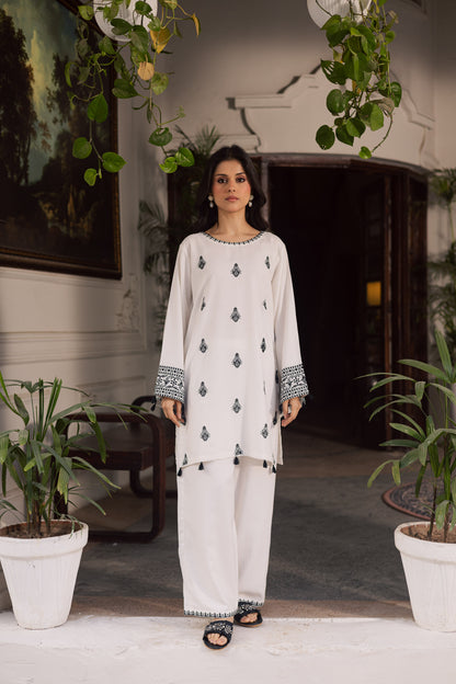 2PC Winter Embroidered Dress - 1189