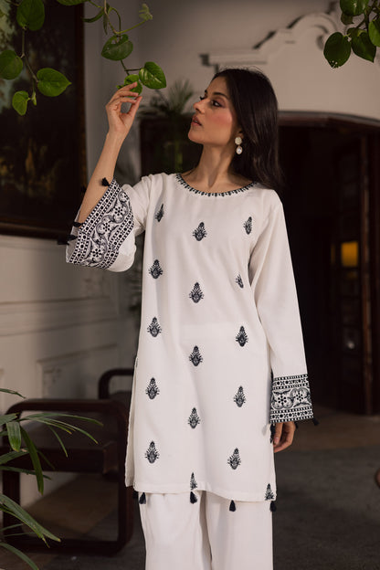2PC Winter Embroidered Dress - 1189