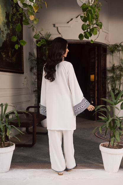 2PC Winter Embroidered Dress - 1189