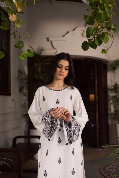 2PC Winter Embroidered Dress - 1189