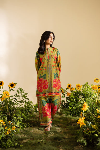 2PC Summer Dress - FS71