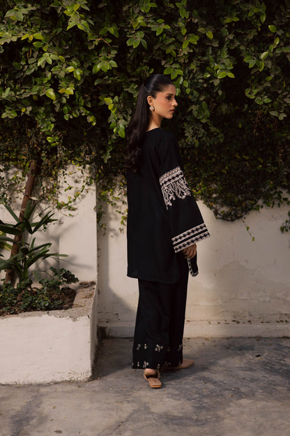 2PC Winter Embroidered Dress-1176