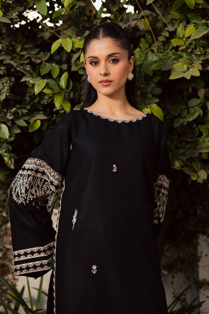 2PC Winter Embroidered Dress-1176