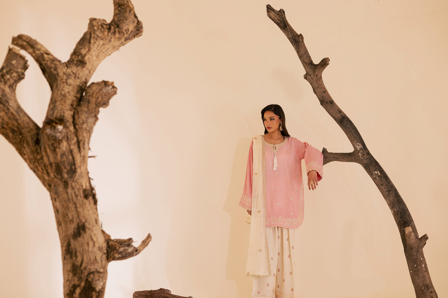 3PC Luxury Embroidered Dress- RSPP09