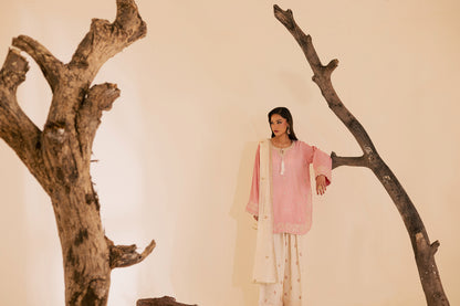 3PC Luxury Embroidered Dress- RSPP09