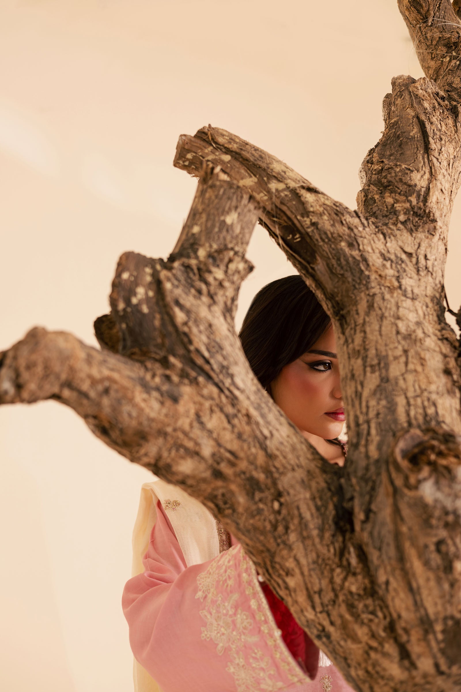 3PC Luxury Embroidered Dress- RSPP09