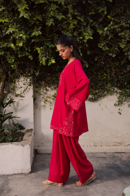 2PC Winter Embroidered Dress-1180