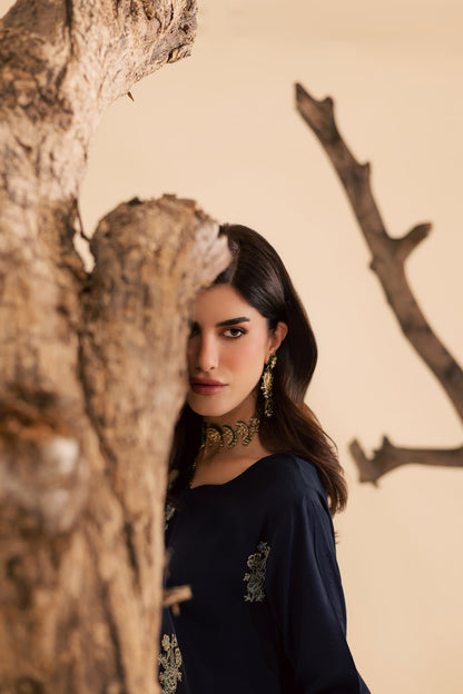 3PC Luxury Embroidered Dress- RSNB04