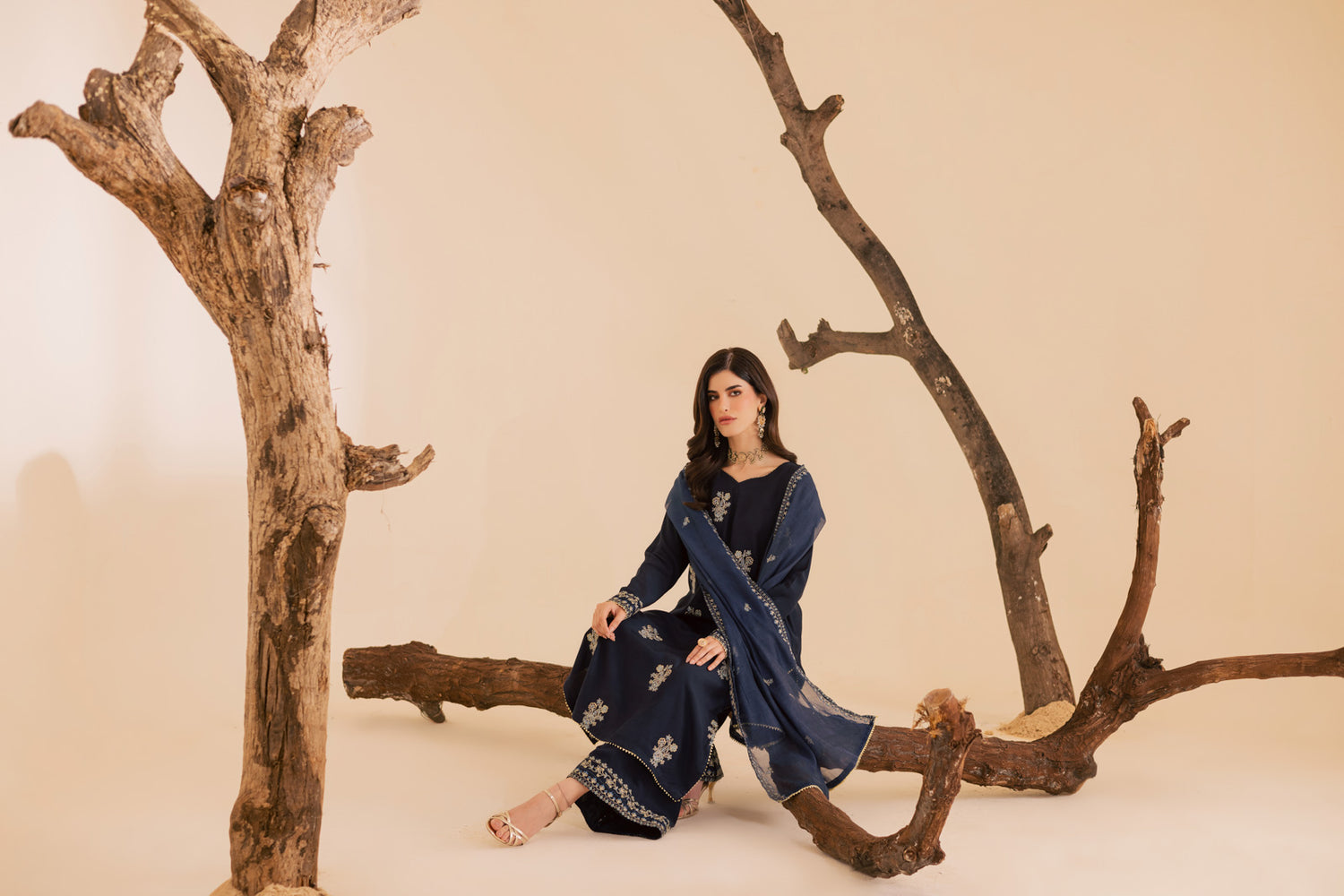 3PC Luxury Embroidered Dress- RSNB04