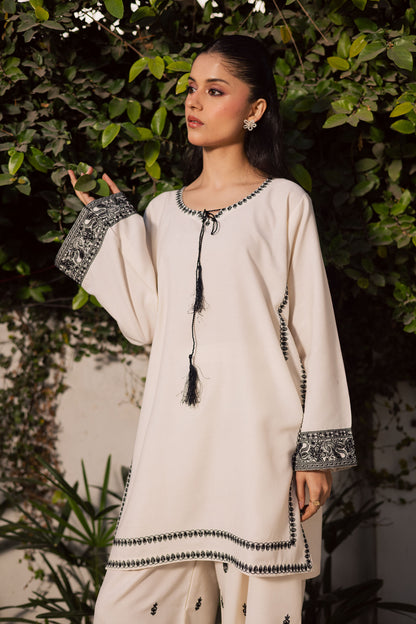 2PC Winter Embroidered Dress - 1198