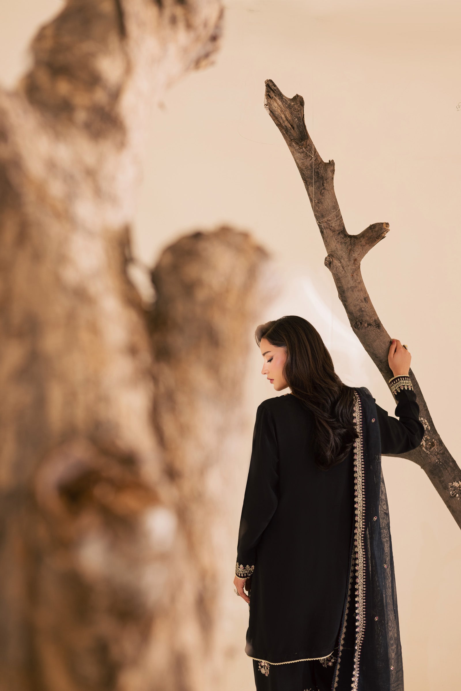 3PC Luxury Embroidered Dress- RSB06