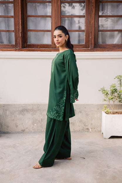 2PC Winter Embroidered Dress-1182