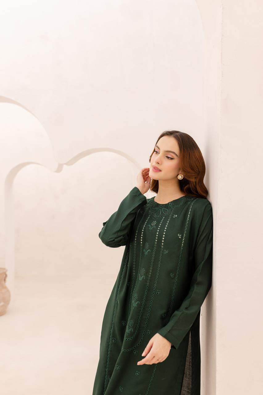 Winter 2PC Embroidered Dress - 1076