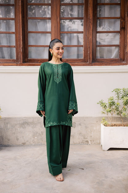 2PC Winter Embroidered Dress-1182