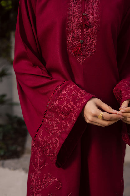 2PC Winter Embroidered Dress-1181