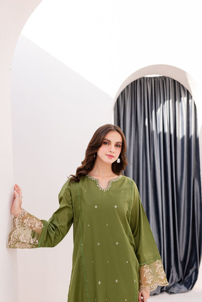 Lawn 2PC Embroidered Dress-1058