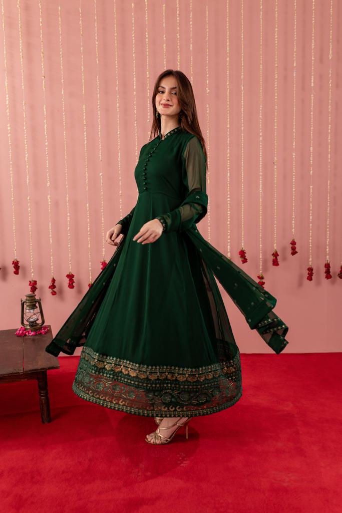 Embroidered Chiffon Dress - BG01