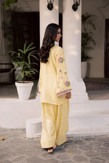 2PC Summer Embroidered Dress - 1354